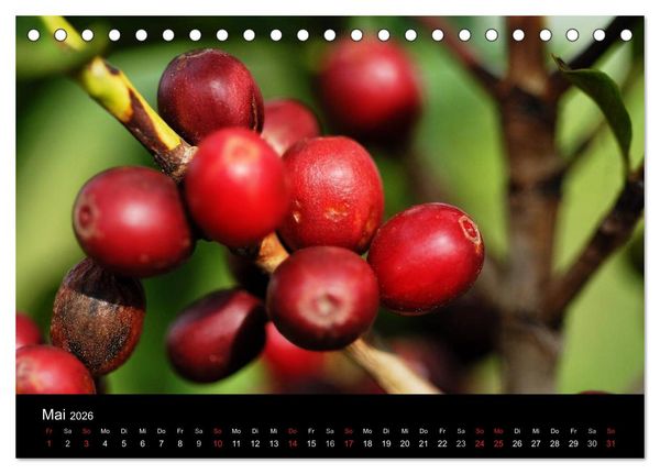 Produktbild: Zu Besuch beim Kaffee (Tischkalender 2026 DIN A5 quer), CALVENDO Monatskalender