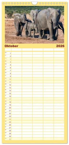 Produktbild: Familienplaner 2026 - Afrikas Tierwelt: Elefantenbabys mit 5 Spalten (Wandkalender, 21 x 45 cm) CALVENDO