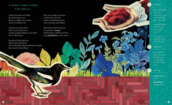 Produktbild: The Illustrated Emily Dickinson