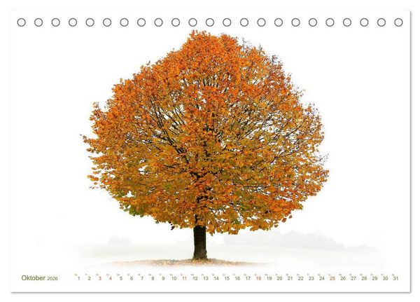 Produktbild: B&Auml;UME - wie gemalt (Tischkalender 2026 DIN A5 quer), CALVENDO Monatskalender