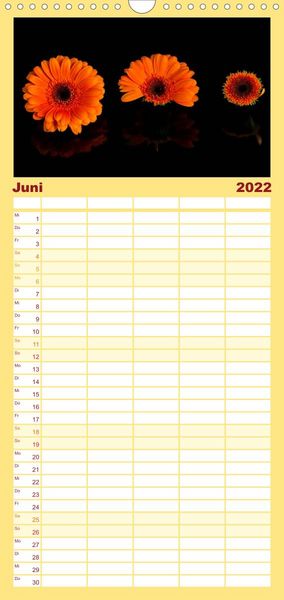 Produktbild: Familienplaner Ver&auml;ndertes (Wandkalender 2022 , 21 cm x 45 cm, hoch)