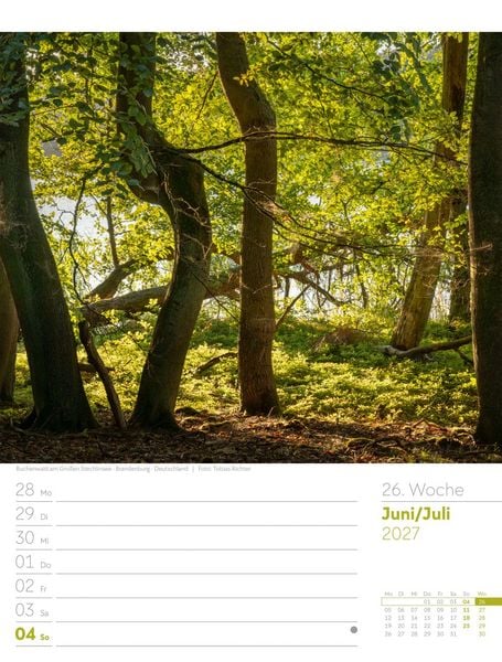 Produktbild: Unser Wald Wochenplaner Kalender 2027