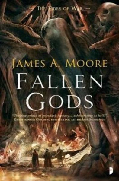 Produktbild: Fallen Gods