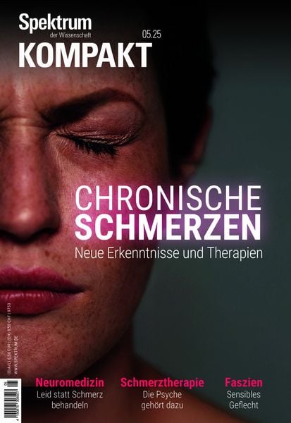 Produktbild: Spektrum Kompakt - Chronische Schmerzen