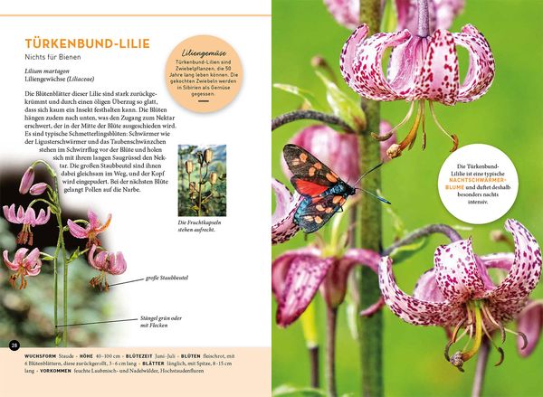 Produktbild: Lieblingsblumen