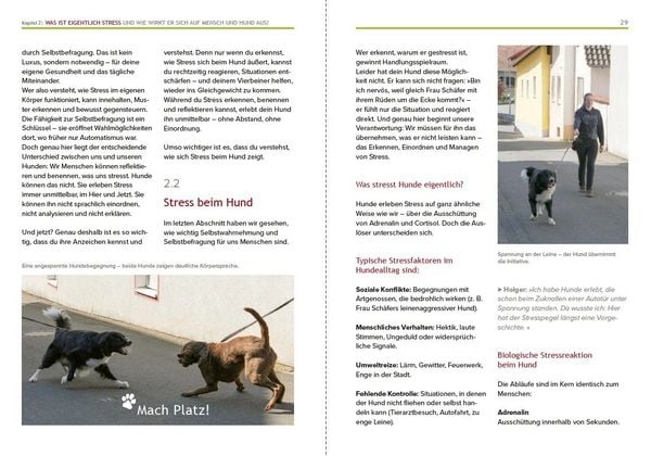 Produktbild: Hundeerziehung mit Holger Sch&uuml;ler Ohne Stress zu einer guten Beziehung