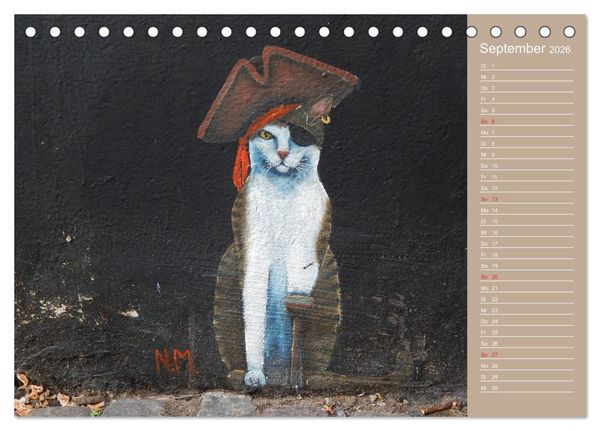 Produktbild: Flensburger Katzen (Tischkalender 2026 DIN A5 quer), CALVENDO Monatskalender