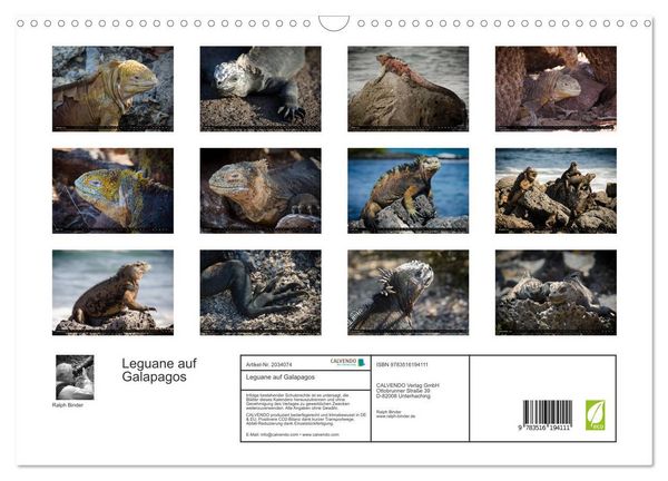 Produktbild: Leguane auf Galapagos (Wandkalender 2026 DIN A3 quer), CALVENDO Monatskalender