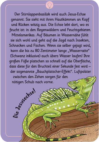 Produktbild: 50 wundersame Tierr&auml;tsel - Tricks und Tarnung