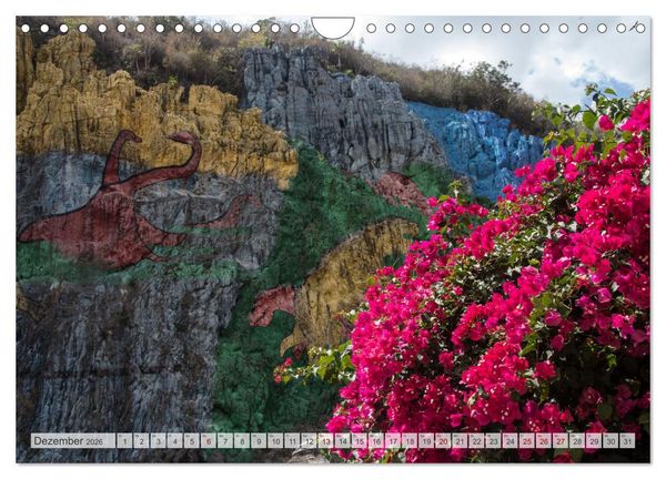 Produktbild: Kuba - Ein ganzes Jahr Karibikflair (Wandkalender 2026 DIN A4 quer), CALVENDO Monatskalender