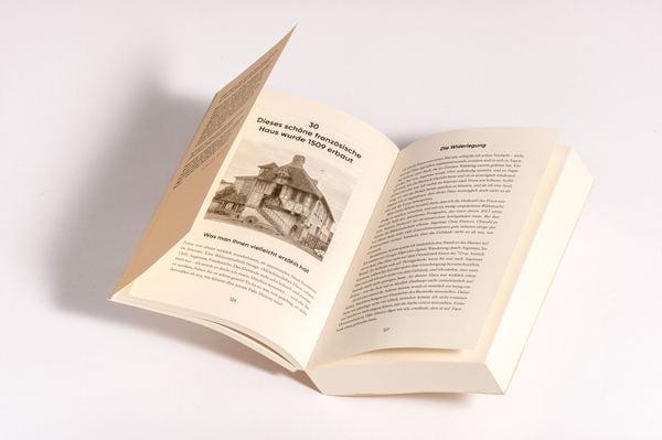 Produktbild: Fake History – Hartnäckige Mythen aus der Geschichte