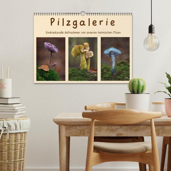 Produktbild: Pilzgalerie - Eindrucksvolle Aufnahmen von unseren heimischen Pilzen (Wandkalender 2026 DIN A3 quer), CALVENDO Monatskalender