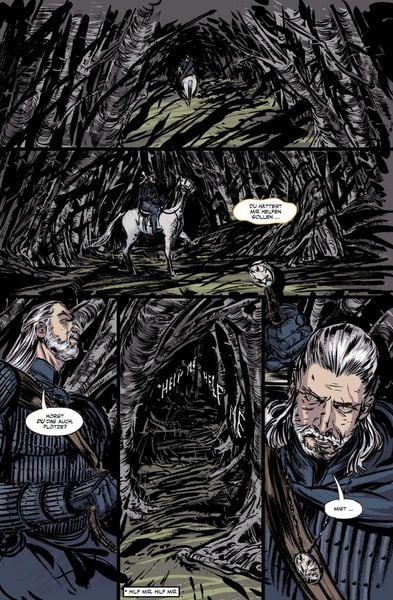 Produktbild: The Witcher