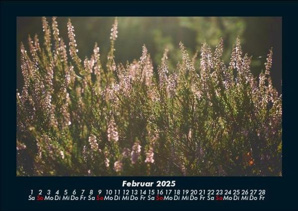 Produktbild: Blumenkalender 2025 Fotokalender DIN A5