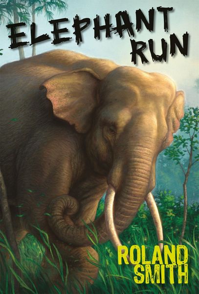 Produktbild: Elephant Run