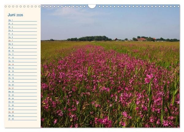 Produktbild: Urlaub auf Borkum (Wandkalender 2026 DIN A3 quer), CALVENDO Monatskalender