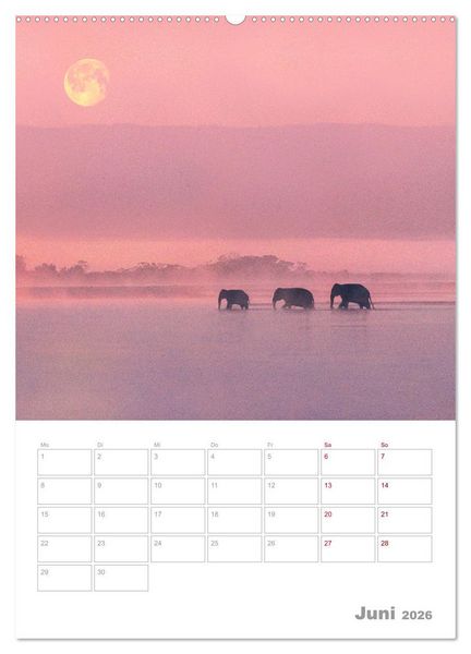 Produktbild: VOLLMOND-Planer - Im Licht der Nacht (Wandkalender 2026 DIN A2 hoch), CALVENDO Monatskalender