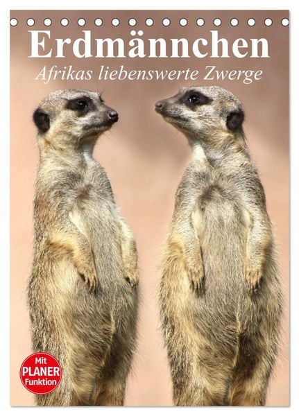 Produktbild: Erdm&auml;nnchen - Afrikas liebenswerte Zwerge (Tischkalender 2026 DIN A5 hoch), CALVENDO Monatskalender