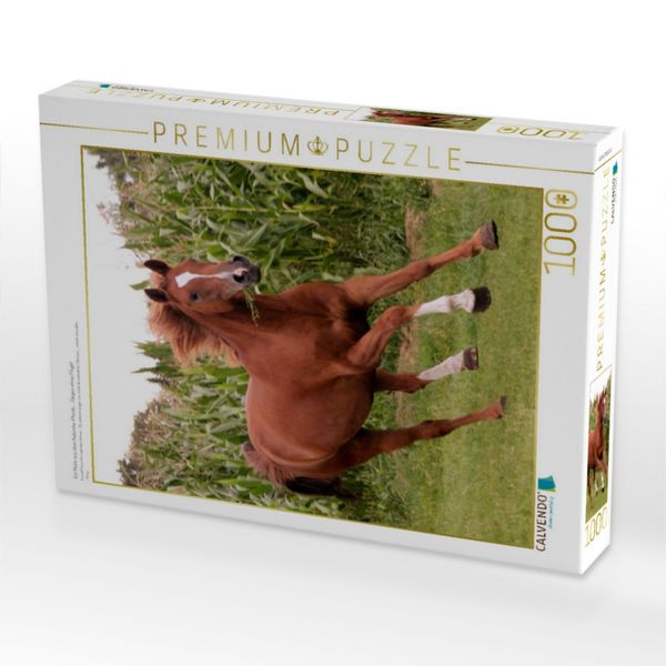 Produktbild: CALVENDO Puzzle Ein Motiv aus dem Kalender Pferde ... fliegen ohne Fl&uuml;gel | 1000 Teile Lege-Gr&ouml;&szlig;e 64x48cm Foto-Puzzle f&uuml;r gl&uuml;ckliche Stunden