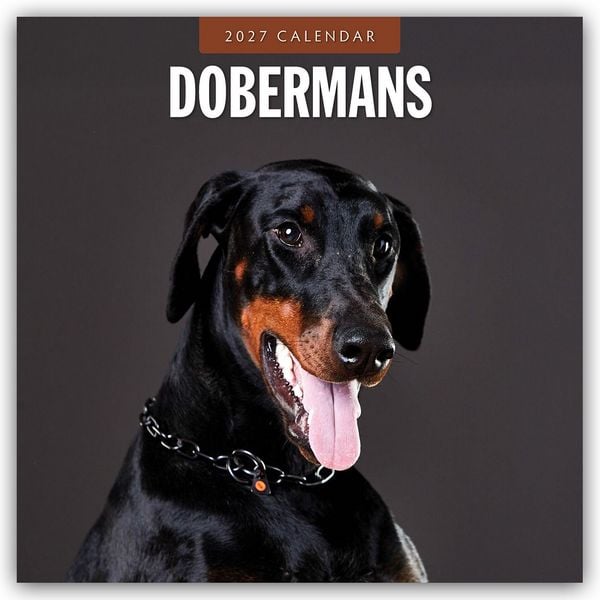 Produktbild: Dobermans &ndash; Dobermann 2027 &ndash; 16-Monatskalender