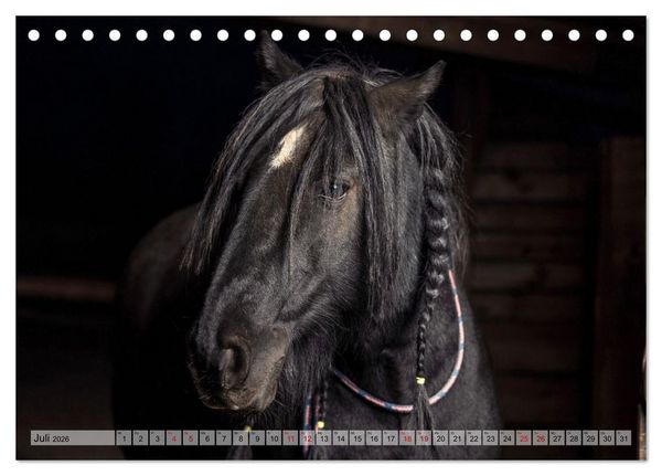 Produktbild: Colorful Horse Ranch &ndash; Wo Tinker posen und Ponys l&auml;cheln (Tischkalender 2026 DIN A5 quer), CALVENDO Monatskalender