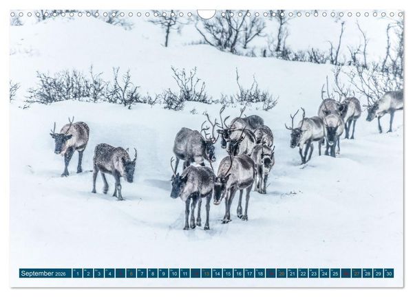 Produktbild: Von Troms&ouml; nach Sommaroy - Winter in Norwegen (Wandkalender 2026 DIN A3 quer), CALVENDO Monatskalender