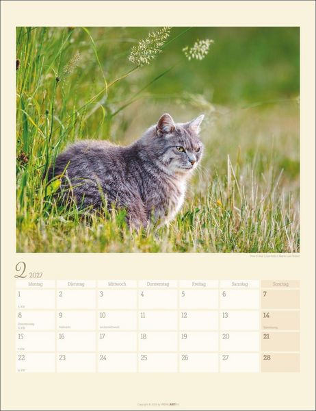 Produktbild: Katzen auf dem Lande Kalender 2027