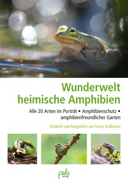 Produktbild: Wunderwelt heimische Amphibien