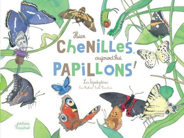 Produktbild: Hier chenilles, aujourd'hui papillons ! : les l&eacute;pidopt&egrave;res