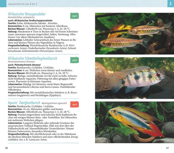 Aquarienfische von A bis Z