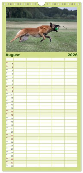 Produktbild: Familienplaner 2026 - Hunde Action mit 5 Spalten (Wandkalender, 21 x 45 cm) CALVENDO