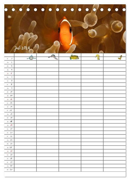Produktbild: Der Unterwasser Familienplaner 2026 (Tischkalender 2026 DIN A5 hoch), CALVENDO Monatskalender