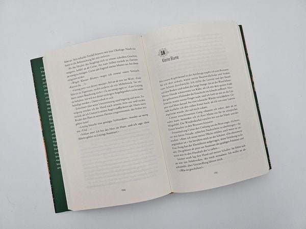 Produktbild: Die Lotosschuhe