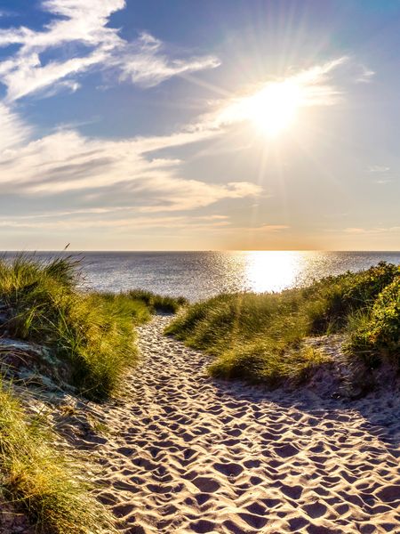 Produktbild: CALVENDO Puzzle Sandweg zum Meer am Weststrand 1000 Teile Lege-Gr&ouml;&szlig;e 48 x 64 cm Foto-Puzzle Bild von Andrea Dreegmeyer