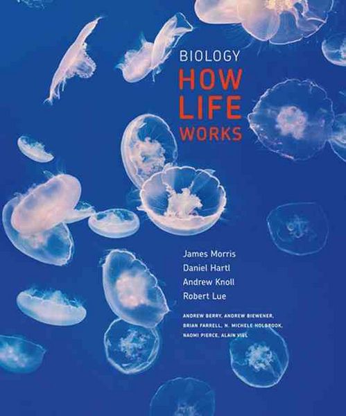 Produktbild: Morris J   Hartl D: Biology How Life Works 1e