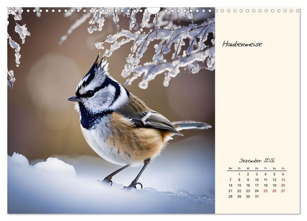 Produktbild: Meisen richtig erkennen (Wandkalender 2026 DIN A3 quer), CALVENDO Monatskalender