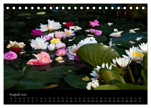 Produktbild: Gartenfl&uuml;stern (Tischkalender 2026 DIN A5 quer), CALVENDO Monatskalender