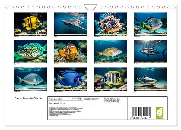 Produktbild: Faszinierende Fische (Wandkalender 2026 DIN A4 quer), CALVENDO Monatskalender