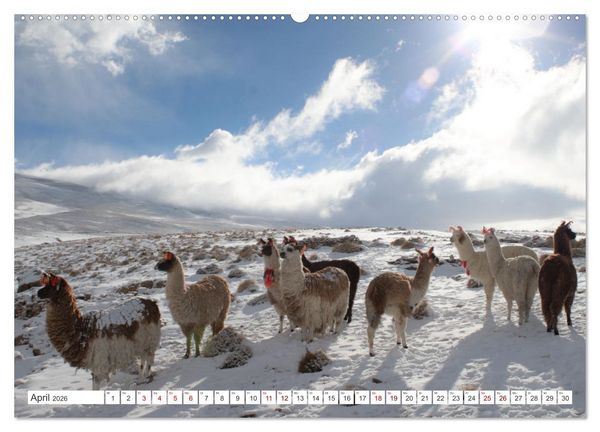 Produktbild: S&Uuml;DAMERIKA Eine Bilderreise durch Argentinien, Bolivien, Peru und Chile 2026 (hochwertiger Premium Wandkalender 2026 DIN A2 quer), Kunstdruck in Hochglanz