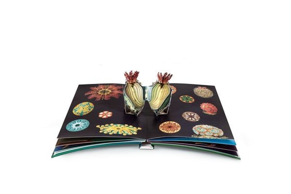Produktbild: Wunderwesen aus der Tiefe. Ernst Haeckel