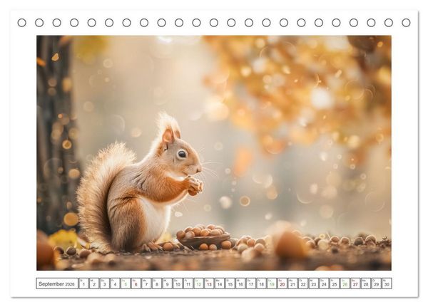 Produktbild: Naturparadies Wald (Tischkalender 2026 DIN A5 quer), CALVENDO Monatskalender