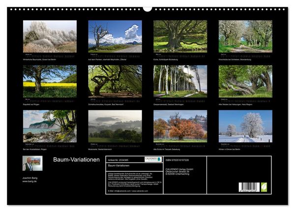 Produktbild: Baum-Variationen (Wandkalender 2026 DIN A2 quer), CALVENDO Monatskalender