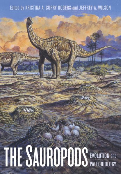Produktbild: The Sauropods