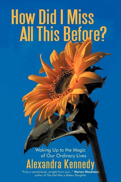 Produktbild: How Did I Miss All This Before?