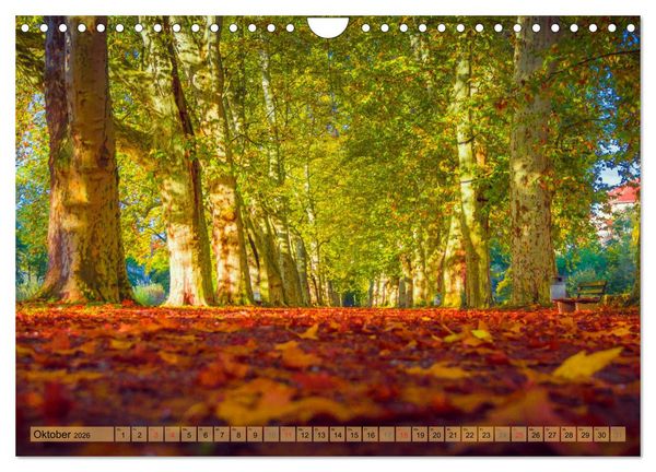 Produktbild: T&uuml;bingen - Impressionen aus der Universit&auml;tsstadt (Wandkalender 2026 DIN A4 quer), CALVENDO Monatskalender