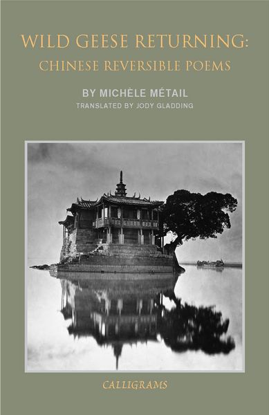 Produktbild: Metail, M: Wild Geese Returning