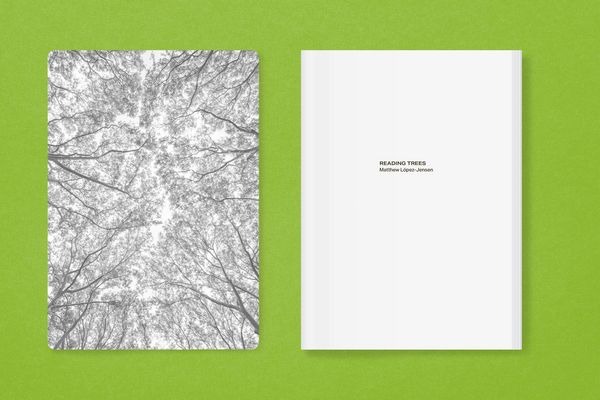 Produktbild: New York City Street Tree Tarot