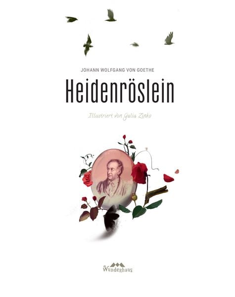 Produktbild: Heidenr&ouml;slein