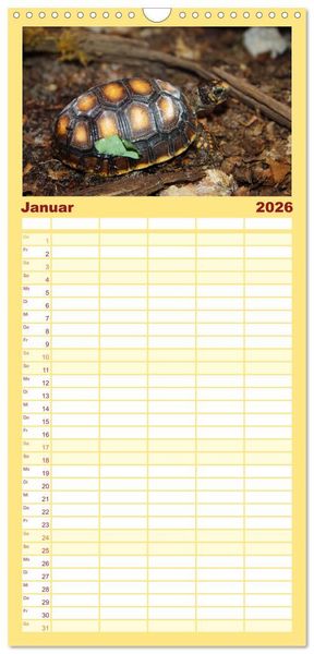 Produktbild: Familienplaner 2026 - Schildkr&ouml;ten - Gepanzerte Urzeitwesen mit 5 Spalten (Wandkalender, 21 x 45 cm) CALVENDO