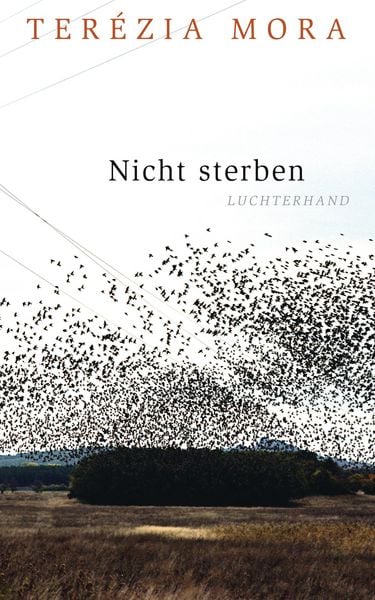 Produktbild: Nicht sterben